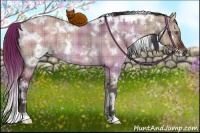 Horse Color:Plaid  White Spotted Bay Dun Rabicano 