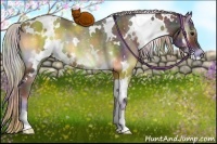 Horse Color:Nacre White Spotted Silver Brown Onyx 