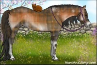Horse Color:Plaid  Brown Onyx Sabino Rabicano 