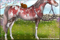 Horse Color:Plaid  White Spotted Silver Brown Onyx 