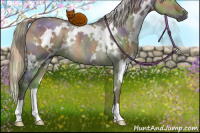 Horse Color:Nacre White Spotted Silver Brown Dun Rabicano 
