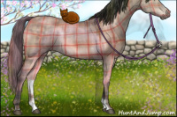 Horse Color:Plaid  Brown Dun Sabino 