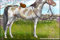 Horse Color:Nacre White Spotted Brown Onyx