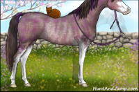 Horse Color:Plaid  Liver Red Dun Sabino Rabicano 