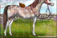 Horse Color:Plaid  White Spotted Brown Onyx Rabicano 