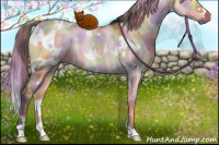 Horse Color:Nacre White Spotted Brown Dun Rabicano 