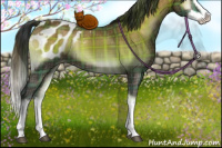 Horse Color:Plaid  Brown Onyx Sabino Splash Appaloosa 