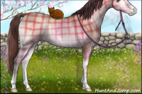 Horse Color:Plaid  Amber Champagne Onyx Sabino Rabicano 