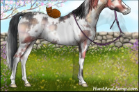 Horse Color:Plaid  White Spotted Brown Onyx Rabicano 