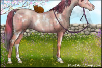 Horse Color:Plaid White Spotted Buckskin Pearl Dun Rabicano