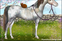 Horse Color:Plaid  White Spotted Buckskin Pearl Onyx Rabicano 