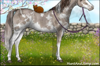 Horse Color:White Spotted Liver Red Dun Ice Splash 