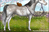 Horse Color:White Spotted Brown Dun Splash 