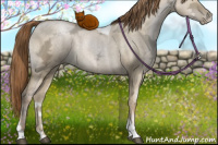 Horse Color:Smoky Grullo Ice Pearl Sabino Tobiano 