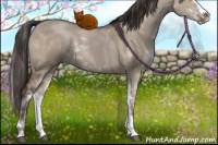 Horse Color:Liver Red Dun Sabino