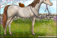 Horse Color:White Spotted Buckskin Pearl Dun