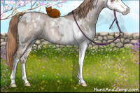 Horse Color:White Spotted Liver Red Dun Ice Splash Tobiano Rabicano