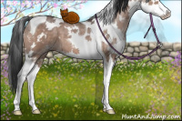 Horse Color:White Spotted Brown Dun Splash Tobiano