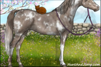 Horse Color:White Spotted Liver Red Dun Ice