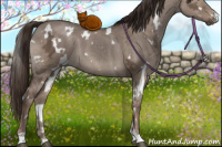 Horse Color:White Spotted Liver Red Dun Ice 