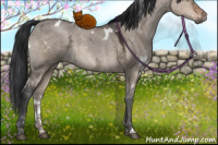Horse Color:White Spotted Brown Ice Dun 
