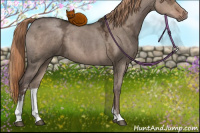 Horse Color:Liver Red Dun Ice Sabino 