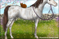 Horse Color:White Spotted Sable Champagne Ice Dun Appaloosa 