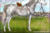 Horse Color:Liver Red Dun Sabino Splash Appaloosa 