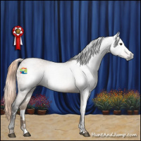 Horse Color:Gray White Spotted Liver Red Dun 