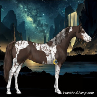 Horse Color:Liver Chestnut Sabino Splash Tobiano  and Liver Chestnut Sabino Tobiano