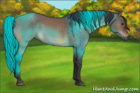 Horse Color:Brown Dun