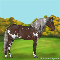 Horse Color:White Spotted Silver Brown 