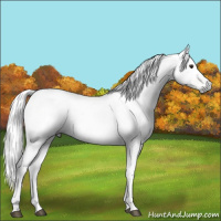 Horse Color:Gray Liver Red Onyx Tobiano 