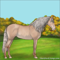 Horse Color:Silver Sable Champagne 
