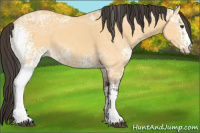 Horse Color:White Spotted Buckskin Ice Dun 
