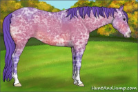 Horse Color:Watercolor Brown Ice Sabino Rabicano