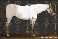 Horse Color:Liver Red Dun Roan 