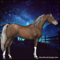 Horse Color:Gray Silver Black Pearl Tobiano 