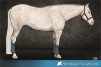 Horse Color:Chocolate Palomino Ice Pearl Frame 