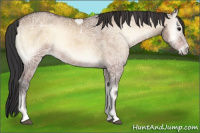 Horse Color:Bay Ice Onyx 