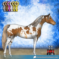Horse Color:White Spotted Chocolate Palomino Mushroom Tobiano