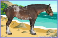 Horse Color:Liver Chestnut Tobiano 