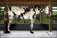 Horse Color:Void Plaid  White Spotted Liver Red Dun Onyx 