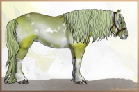 Horse Color:Watercolor White Spotted Liver Red Onyx 