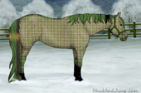 Horse Color:Void Plaid  Liver Red Dun Tobiano 