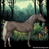 Horse Color:Silver Black 