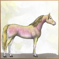 Horse Color:Watercolor White Spotted Chocolate Palomino Roan Onyx Rabicano