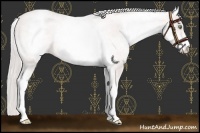 Horse Color:Platinum White Spotted Gold Cream Champagne 