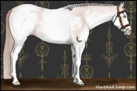 Horse Color:Platinum White Spotted Gold Champagne 