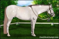 Horse Color:Platinum White Spotted Buckskin Pearl 